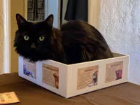 La Isla de los Gatos - Español