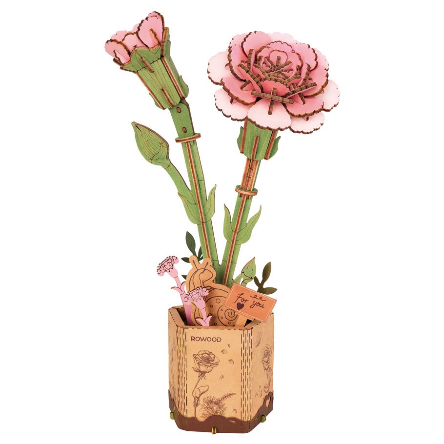 Pink Carnation