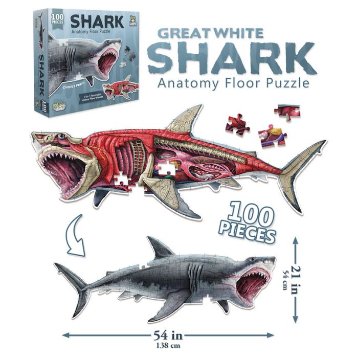 Puzzle: AA: Floor Puzzle: Shark 100pc