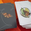 Mariposas