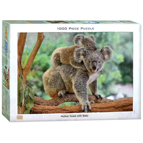 Mother Koala with Baby