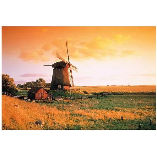 Holland