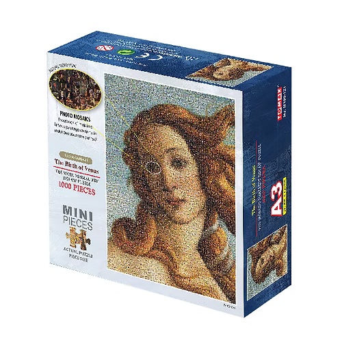 The Birth of Venus (A3)