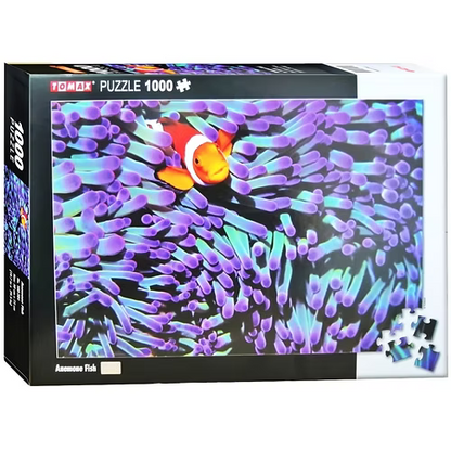 Anemone Fish