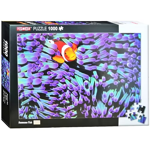 Anemone Fish