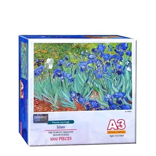 Irises (A3)
