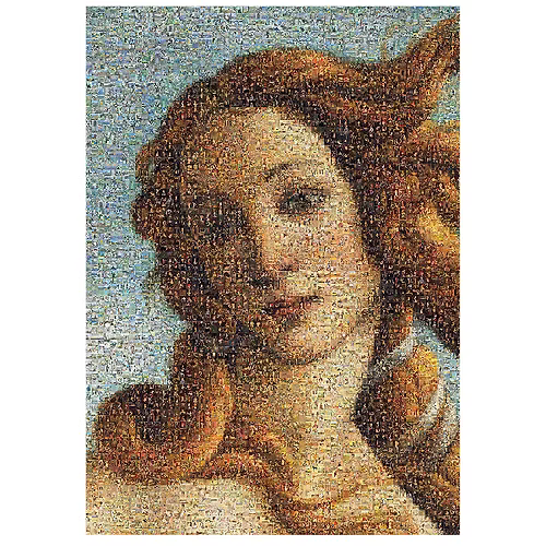 The Birth of Venus (A3)
