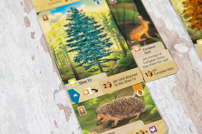Forest Shuffle (Español)