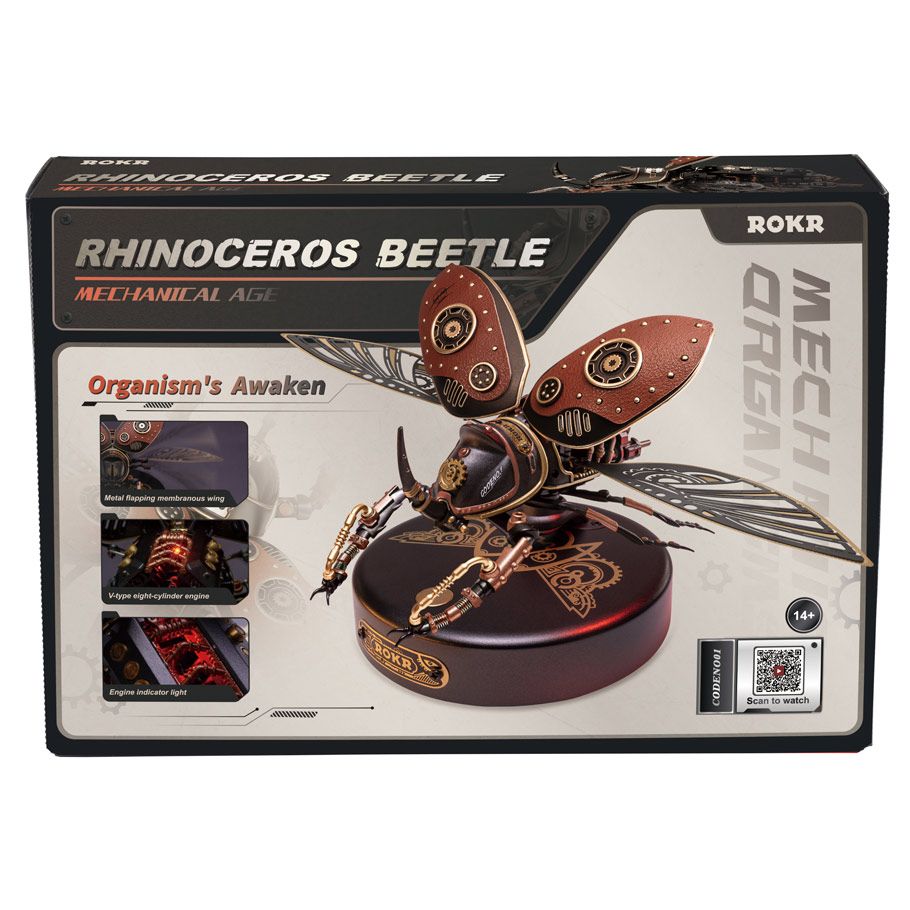 Rhinoceros Beetle