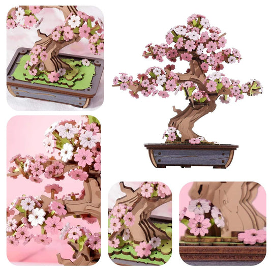 Sakura Bonsai