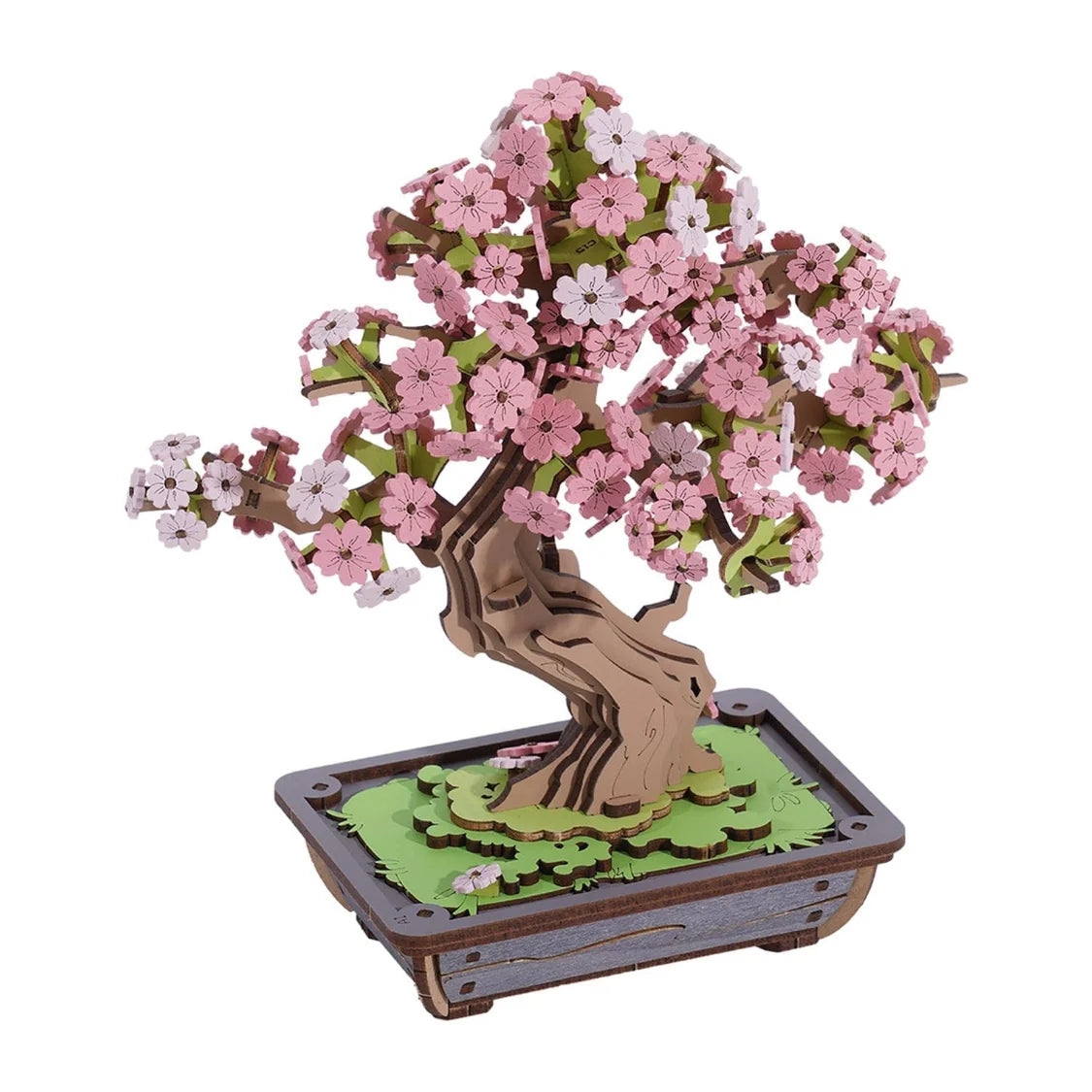 Sakura Bonsai