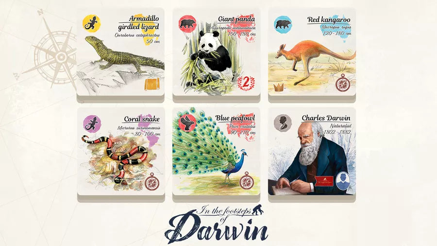 In The Footsteps of Darwin