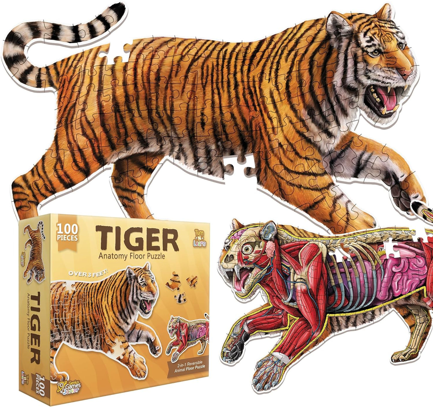 Puzzle: AA: Floor Puzzle: Tiger 100pc